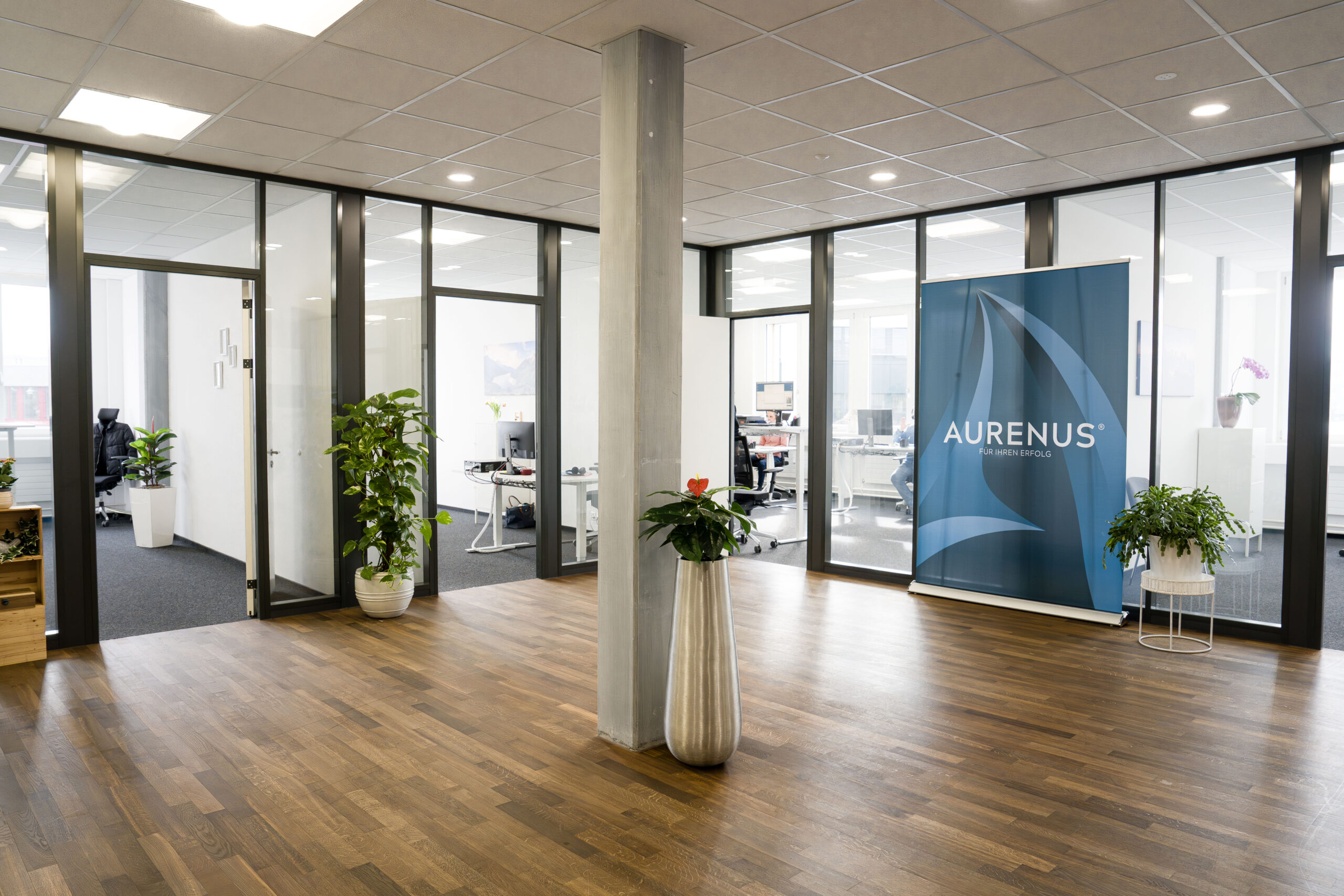 Aurenus Office 38 scaled