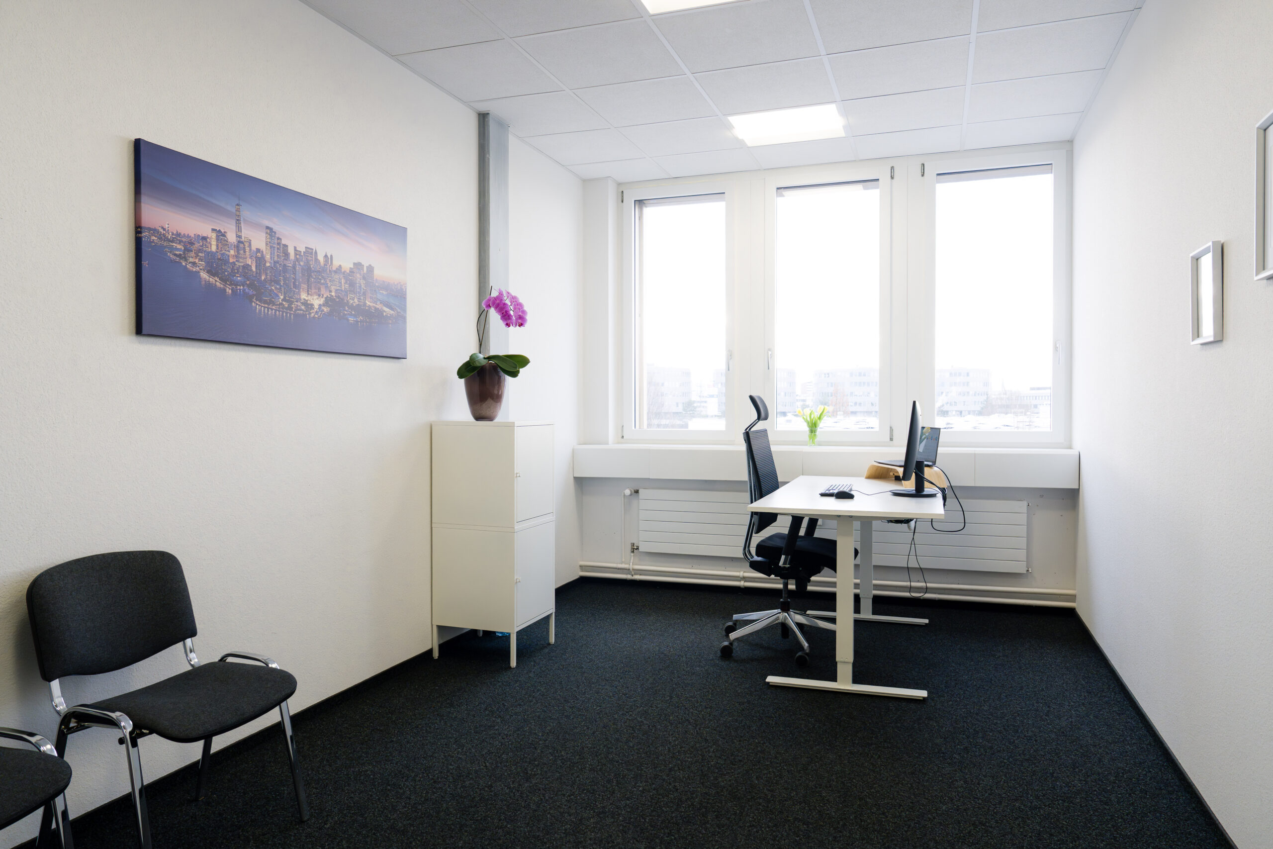 Aurenus Office 74 scaled